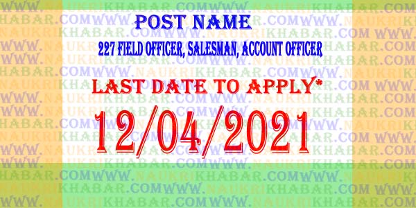 markfed-punjab-recruits-227-field-officer-salesman-account-officer-etc